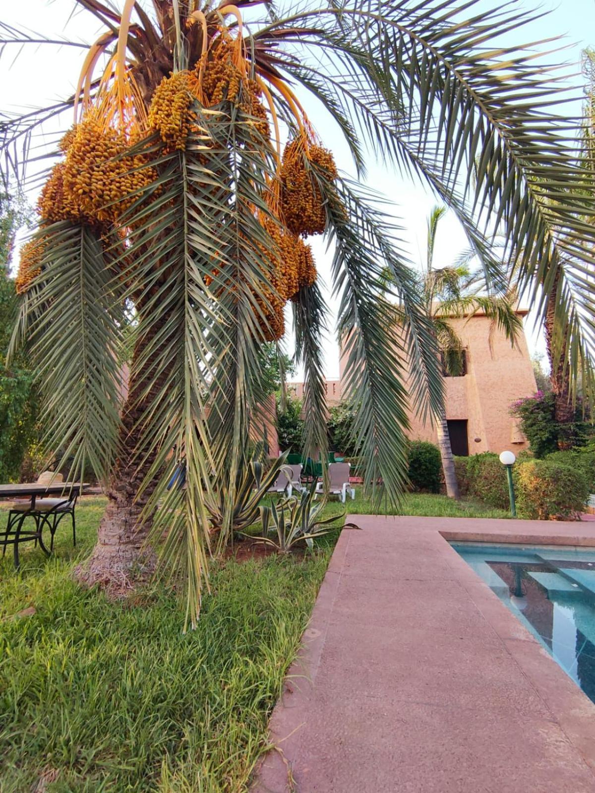 Riad Sheherazade Marrakech Marrakesz Zewnętrze zdjęcie