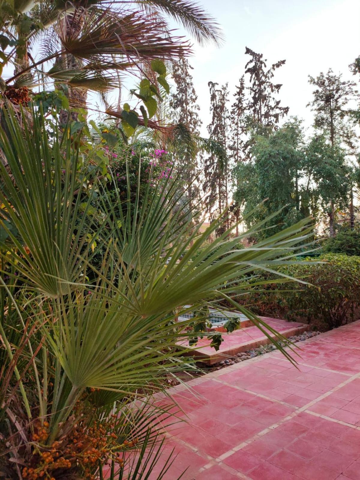 Riad Sheherazade Marrakech Marrakesz Zewnętrze zdjęcie
